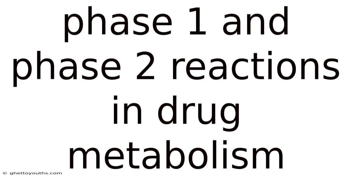 Phase 1 And Phase 2 Reactions In Drug Metabolism