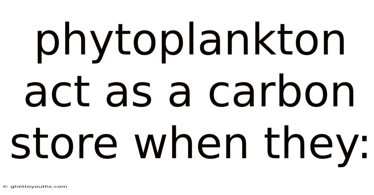 Phytoplankton Act As A Carbon Store When They: