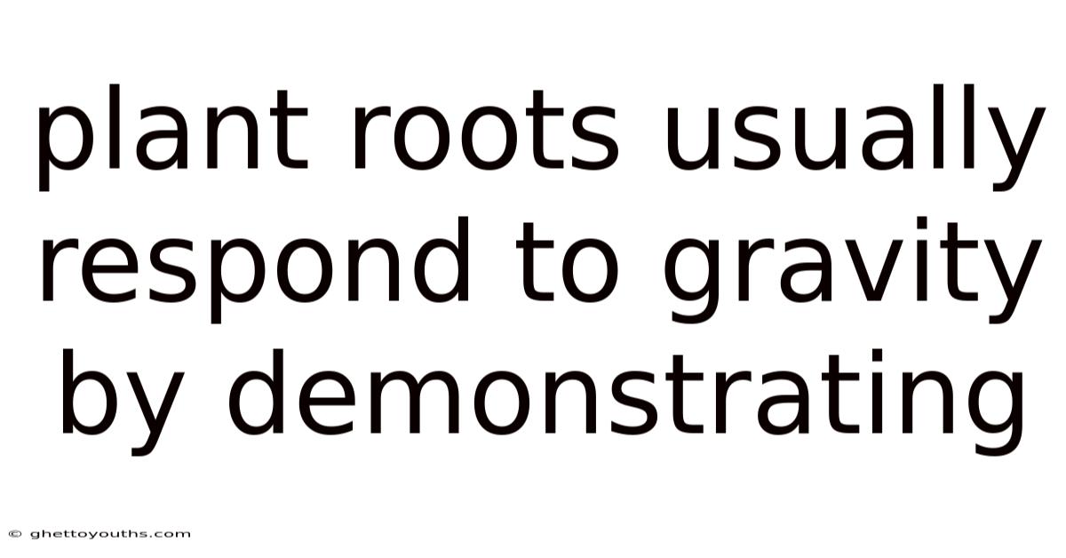 Plant Roots Usually Respond To Gravity By Demonstrating
