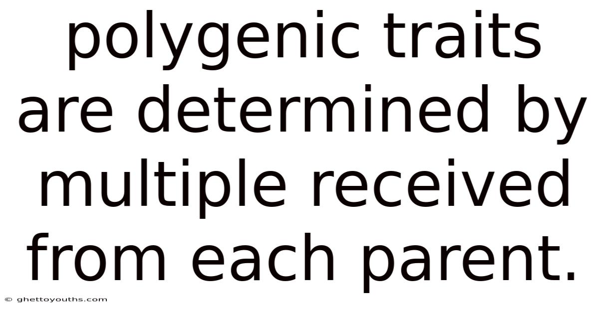 Polygenic Traits Are Determined By Multiple Received From Each Parent.