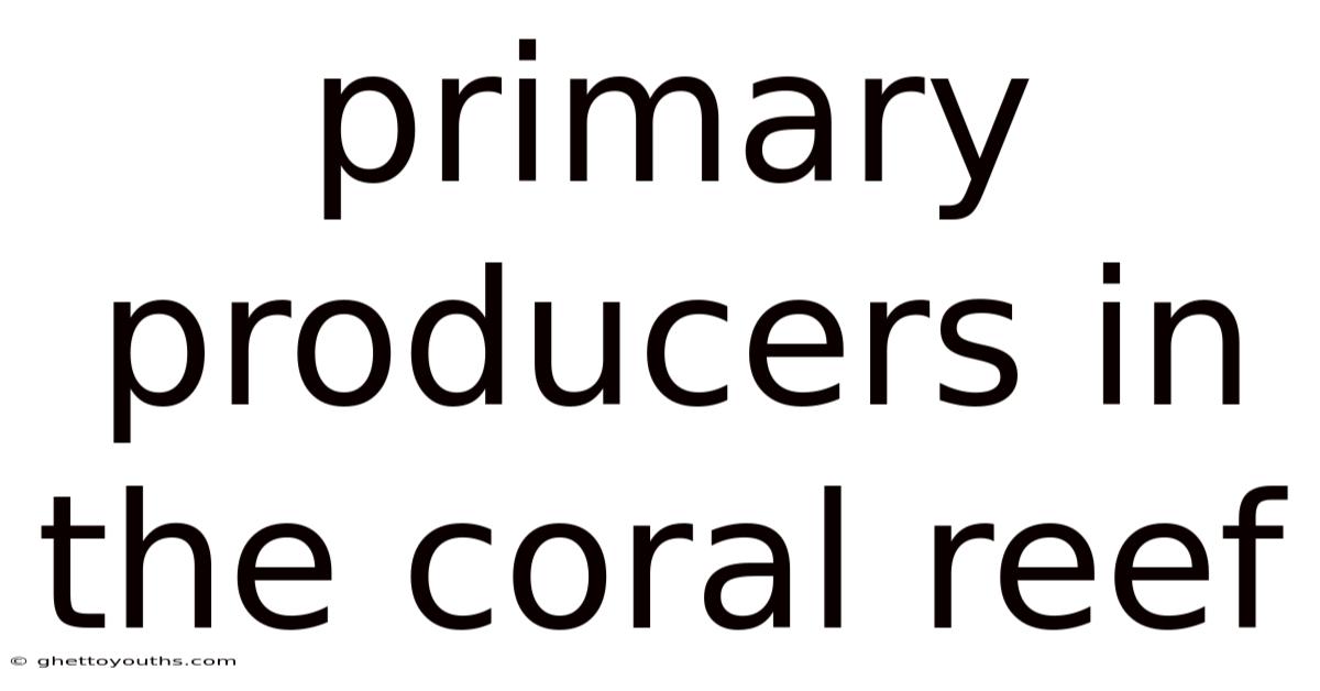 Primary Producers In The Coral Reef