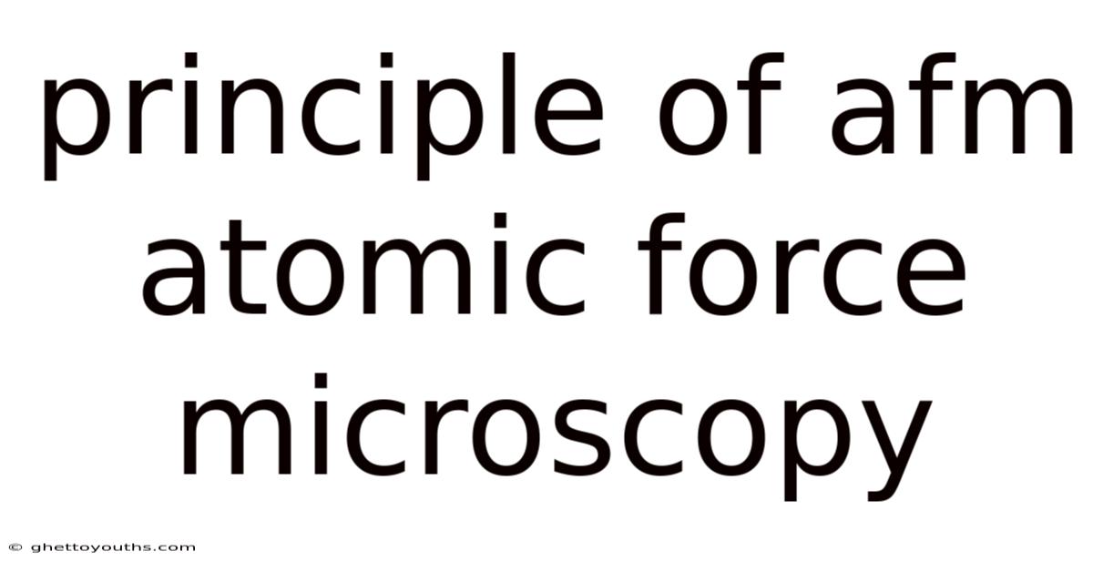 Principle Of Afm Atomic Force Microscopy