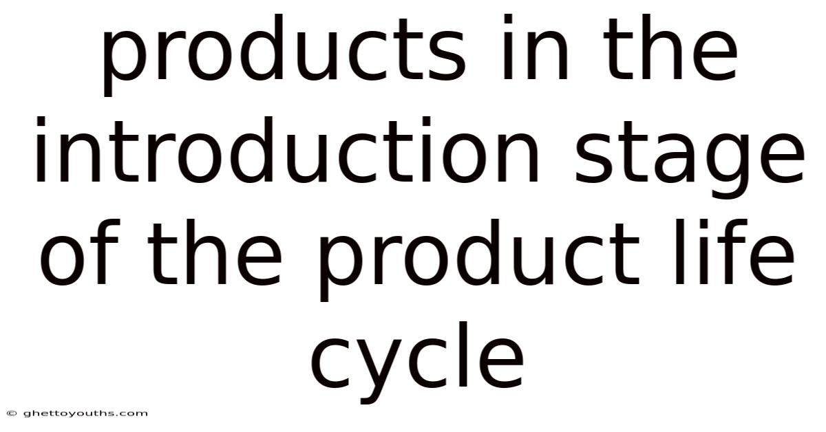 Products In The Introduction Stage Of The Product Life Cycle