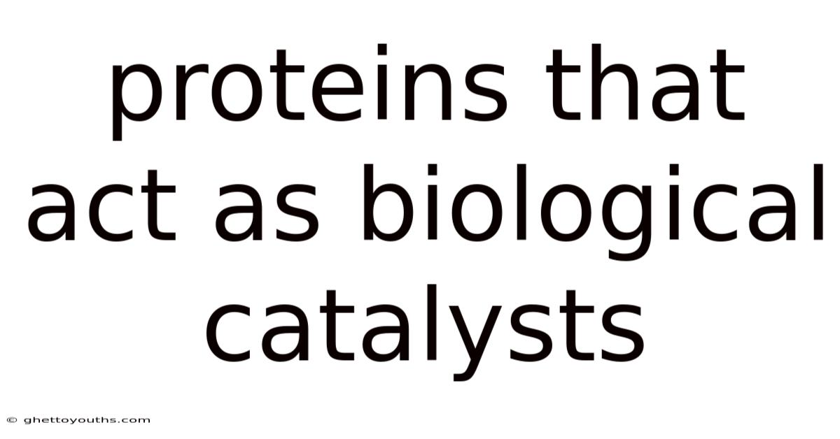 Proteins That Act As Biological Catalysts