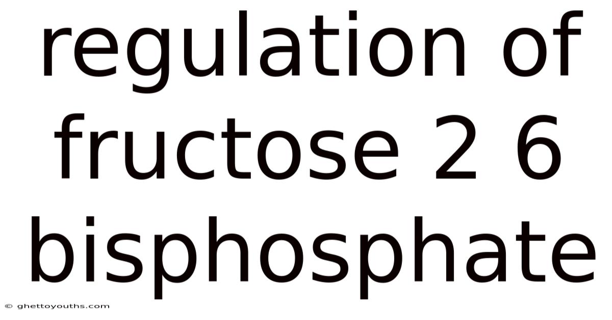 Regulation Of Fructose 2 6 Bisphosphate