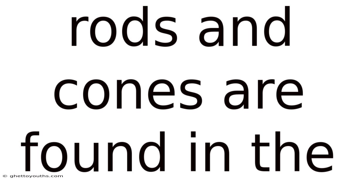 Rods And Cones Are Found In The