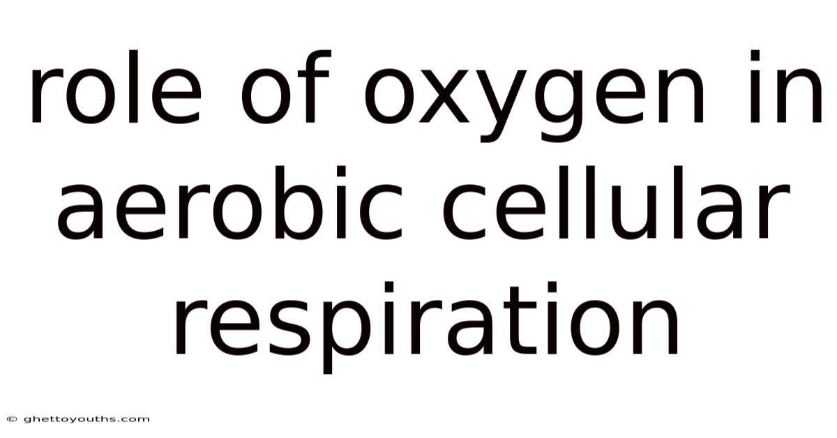 Role Of Oxygen In Aerobic Cellular Respiration