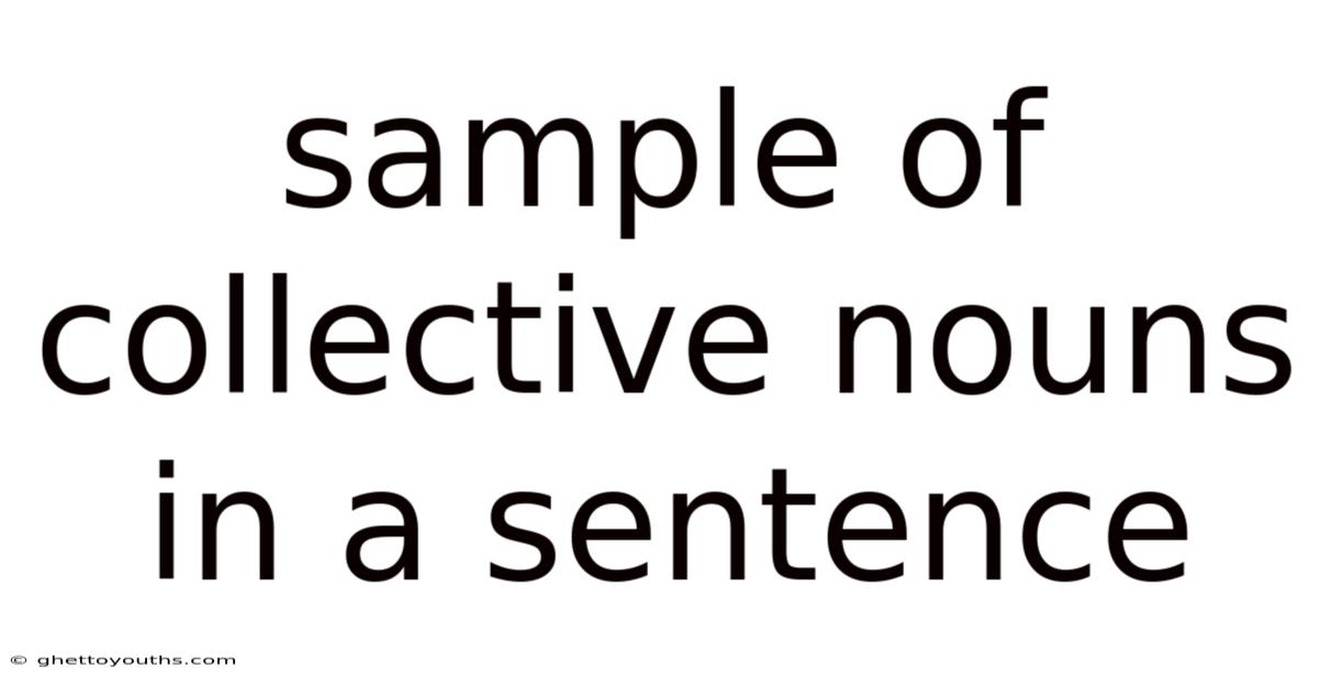 Sample Of Collective Nouns In A Sentence