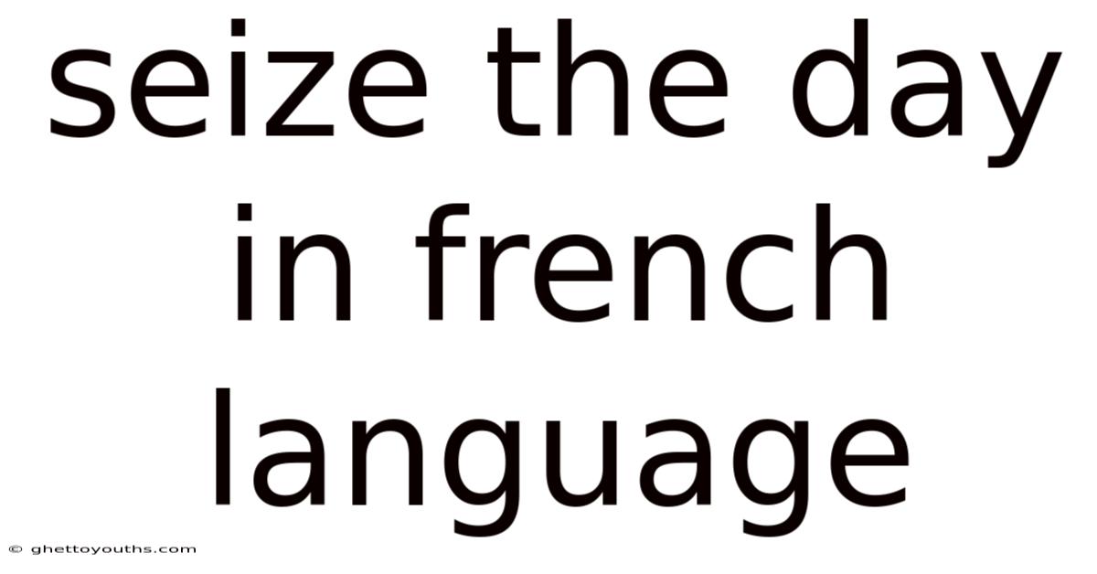 Seize The Day In French Language