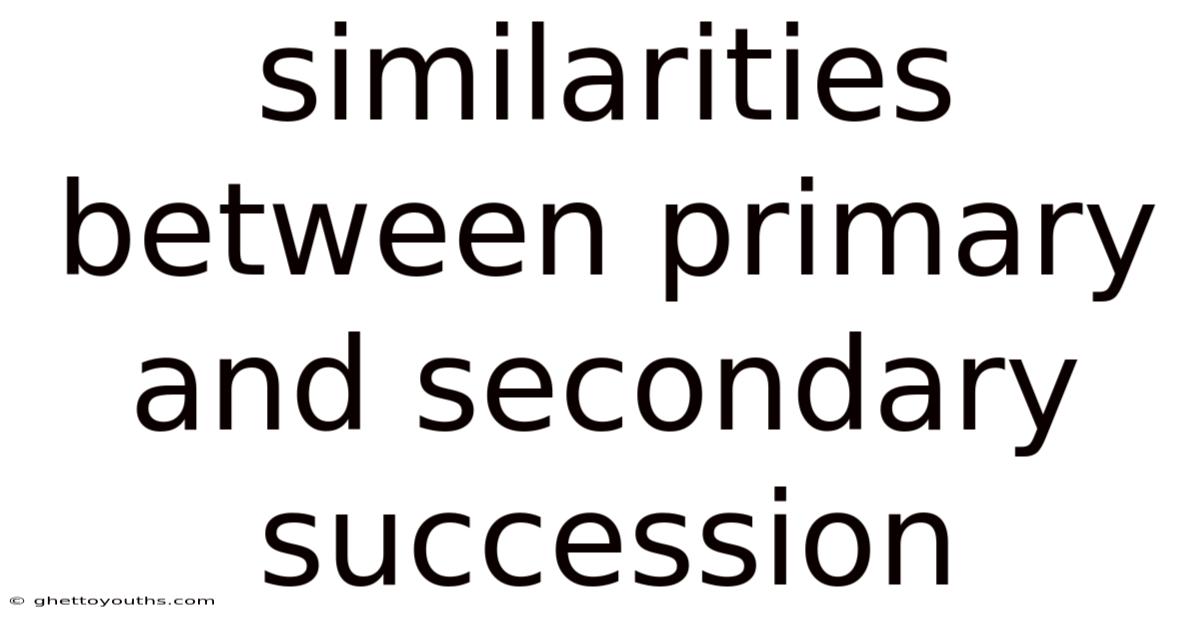 Similarities Between Primary And Secondary Succession