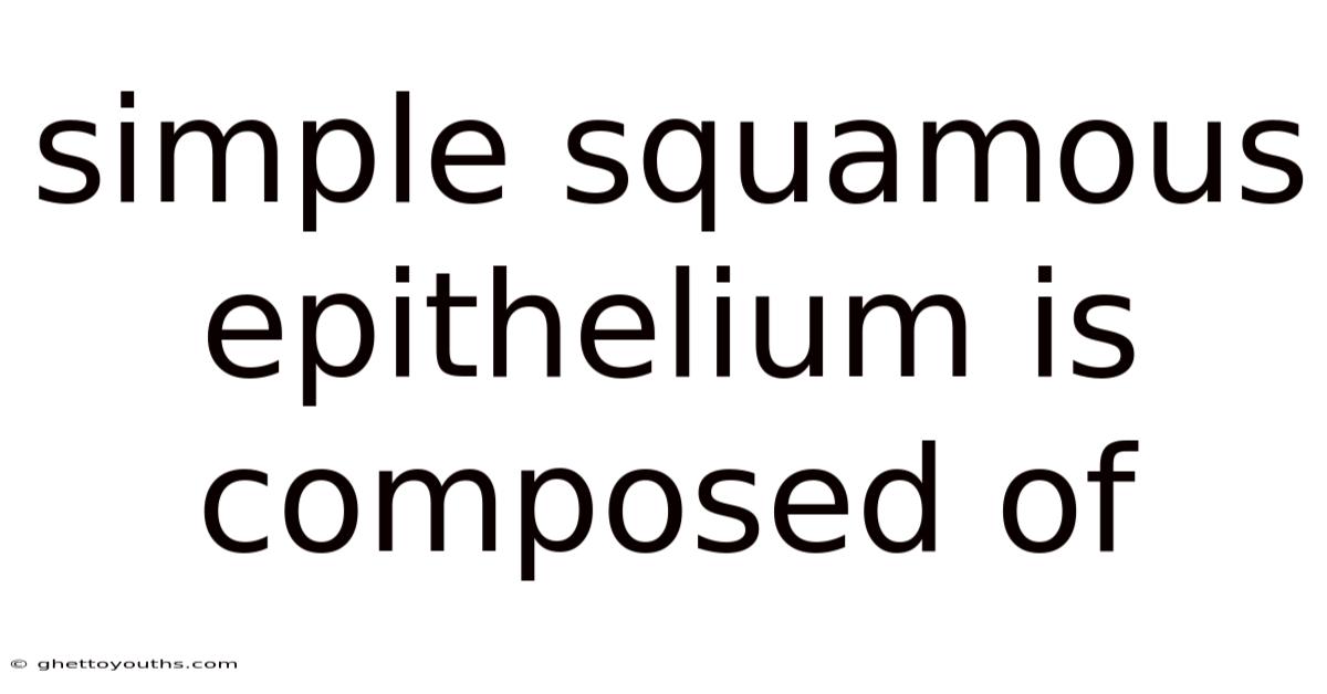 Simple Squamous Epithelium Is Composed Of