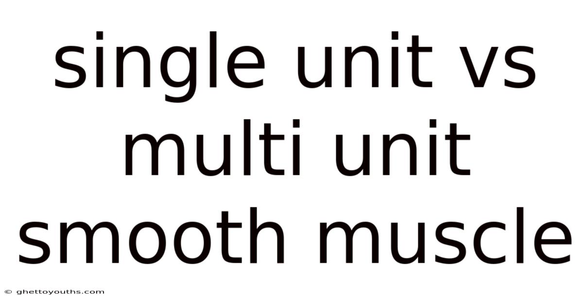 Single Unit Vs Multi Unit Smooth Muscle