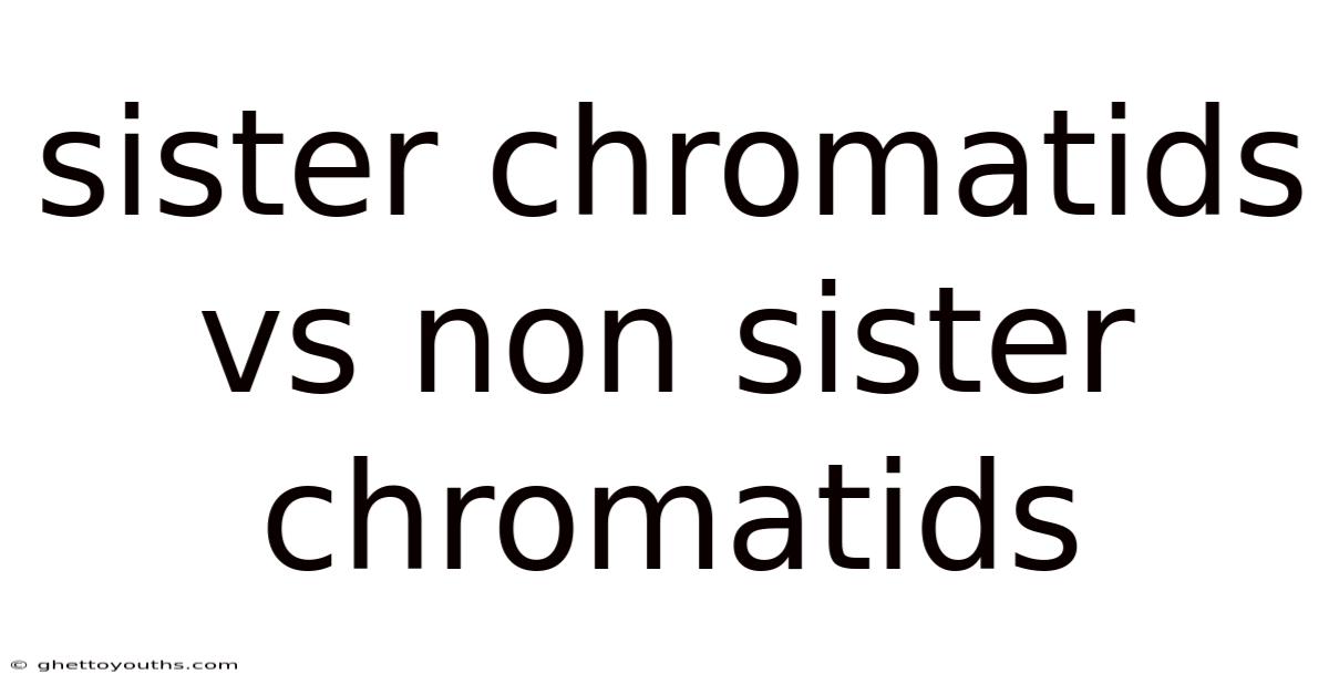 Sister Chromatids Vs Non Sister Chromatids