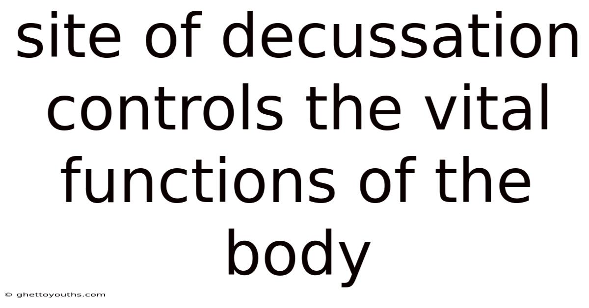 Site Of Decussation Controls The Vital Functions Of The Body
