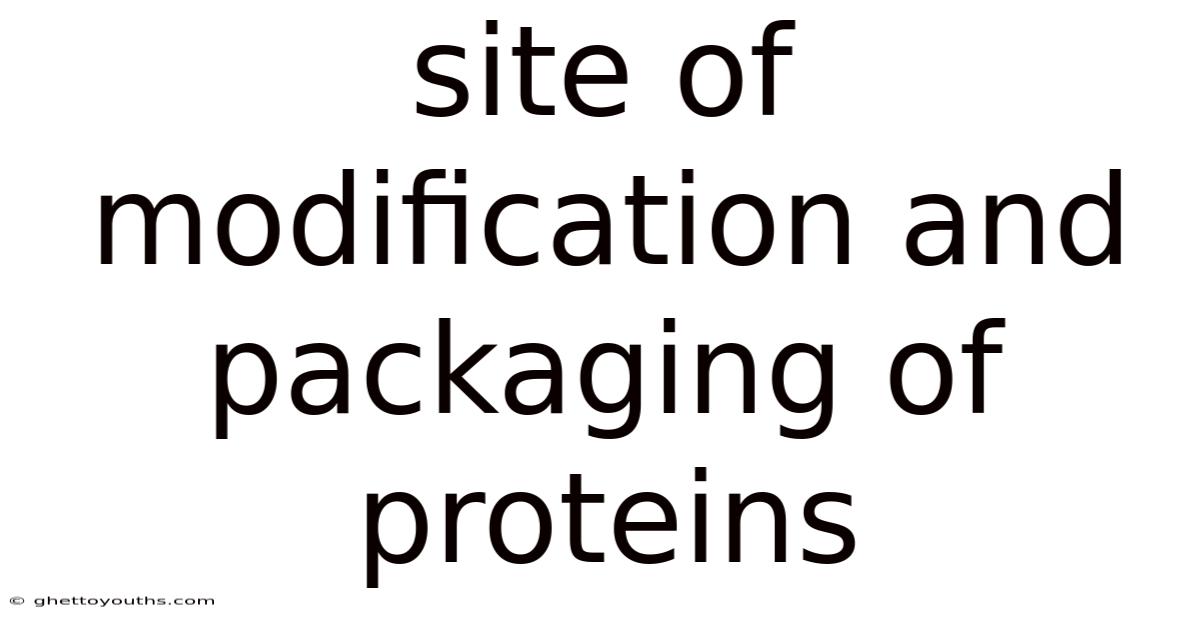 Site Of Modification And Packaging Of Proteins