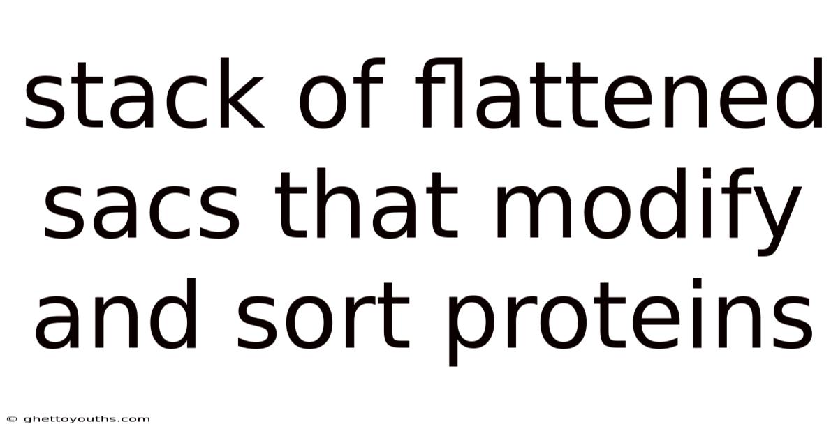 Stack Of Flattened Sacs That Modify And Sort Proteins