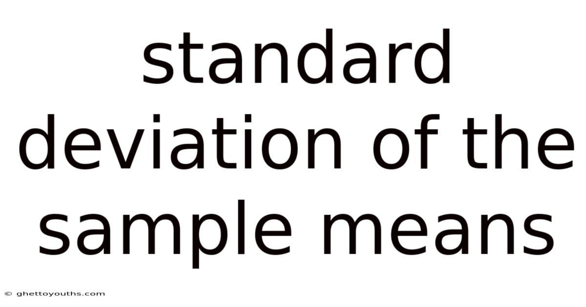 Standard Deviation Of The Sample Means