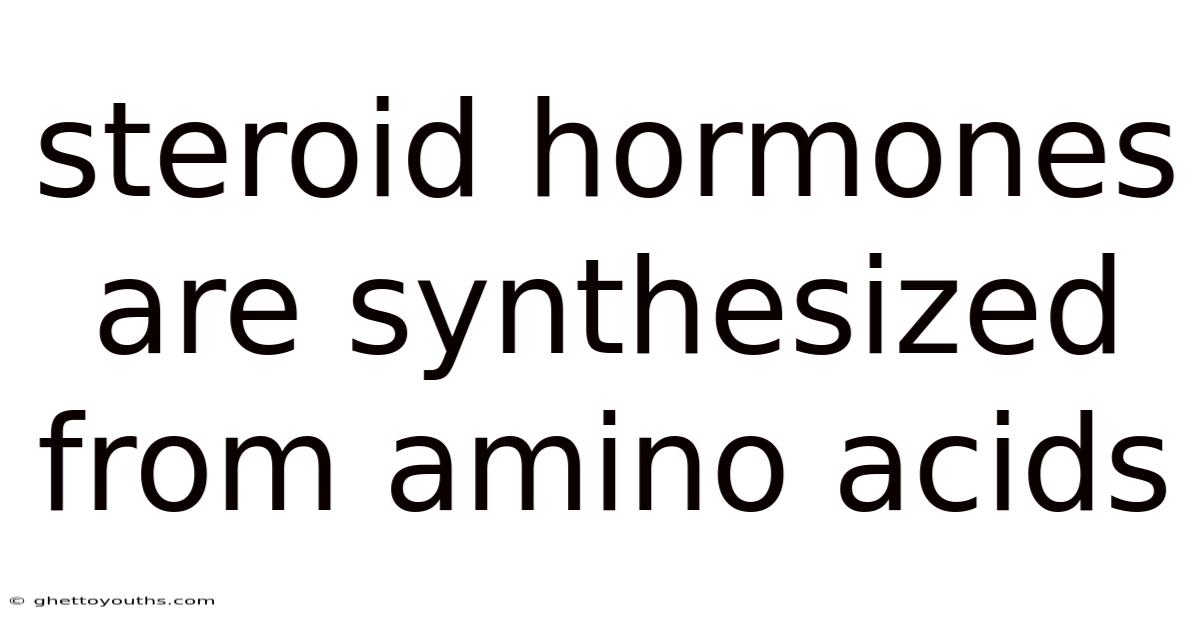 Steroid Hormones Are Synthesized From Amino Acids