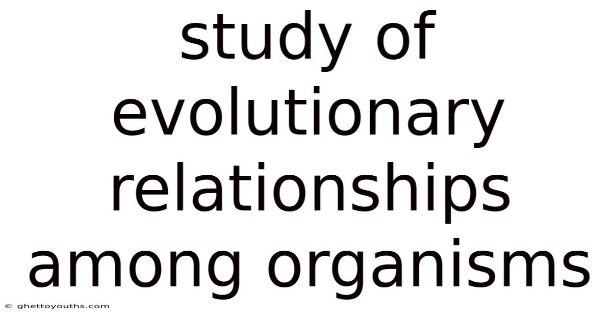 Study Of Evolutionary Relationships Among Organisms