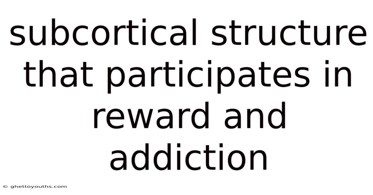 Subcortical Structure That Participates In Reward And Addiction