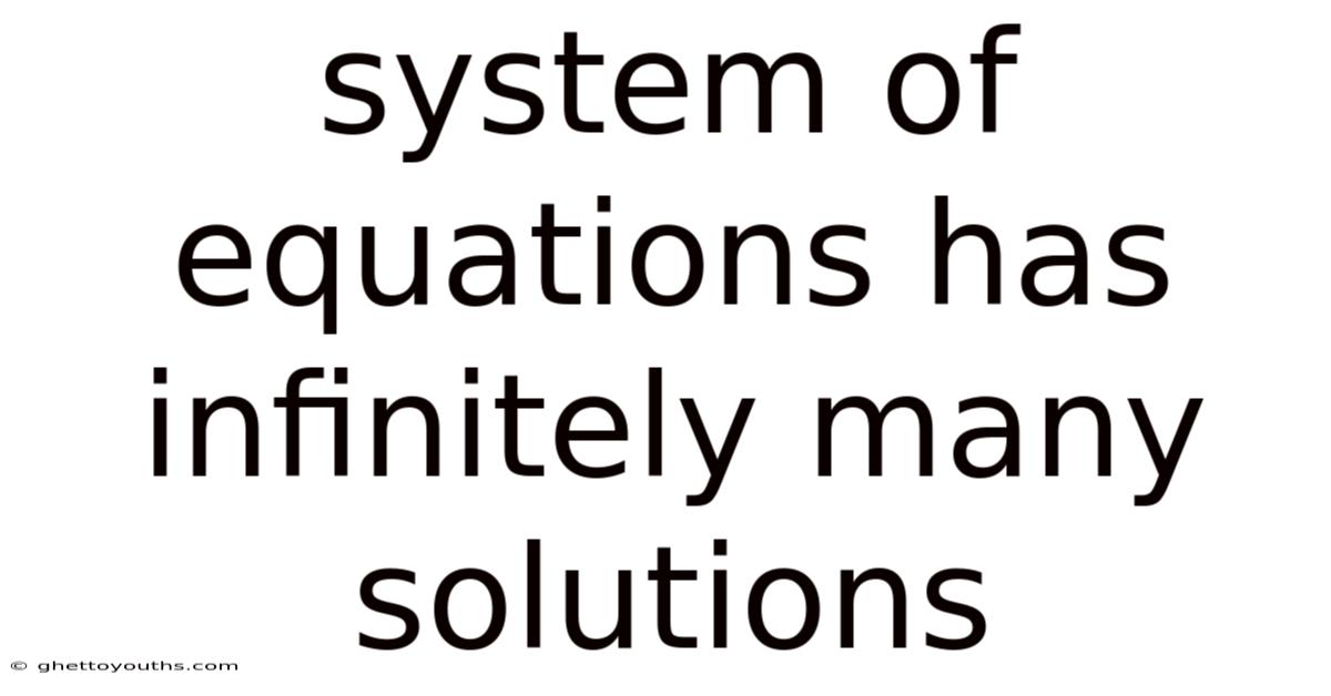 System Of Equations Has Infinitely Many Solutions