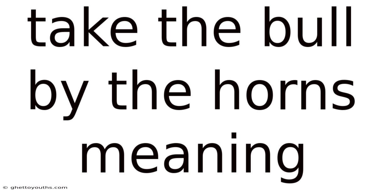 Take The Bull By The Horns Meaning