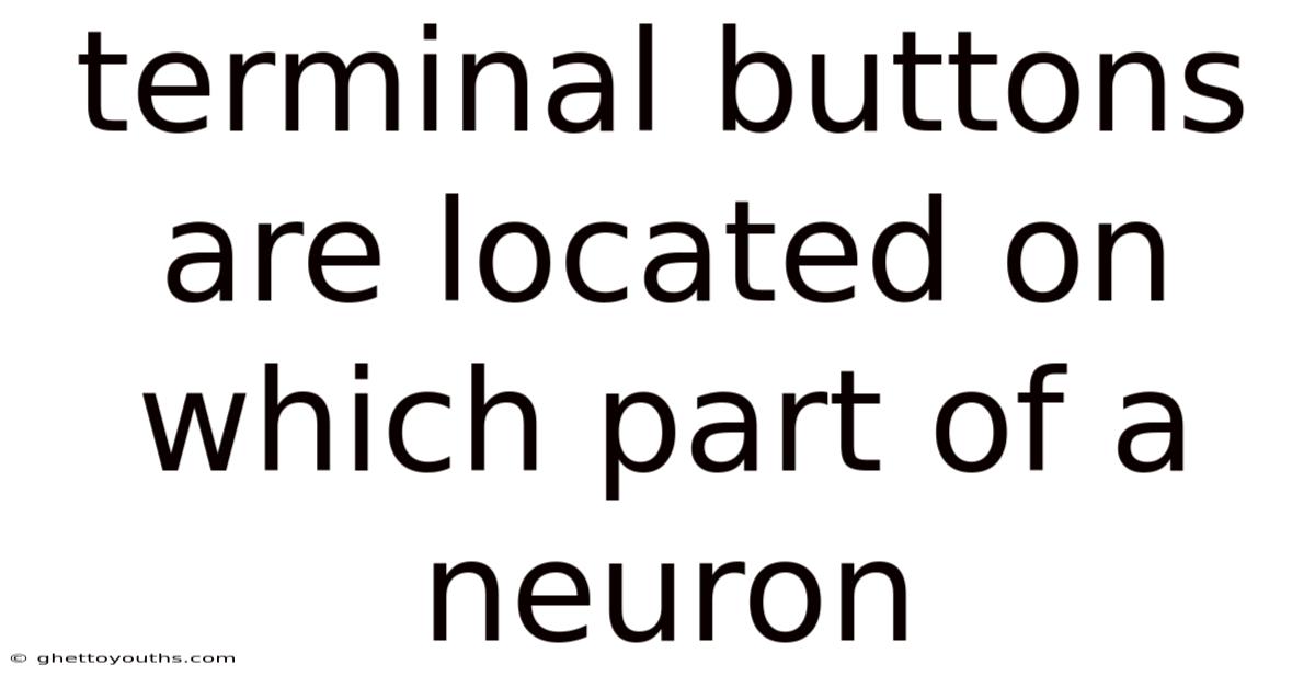 Terminal Buttons Are Located On Which Part Of A Neuron