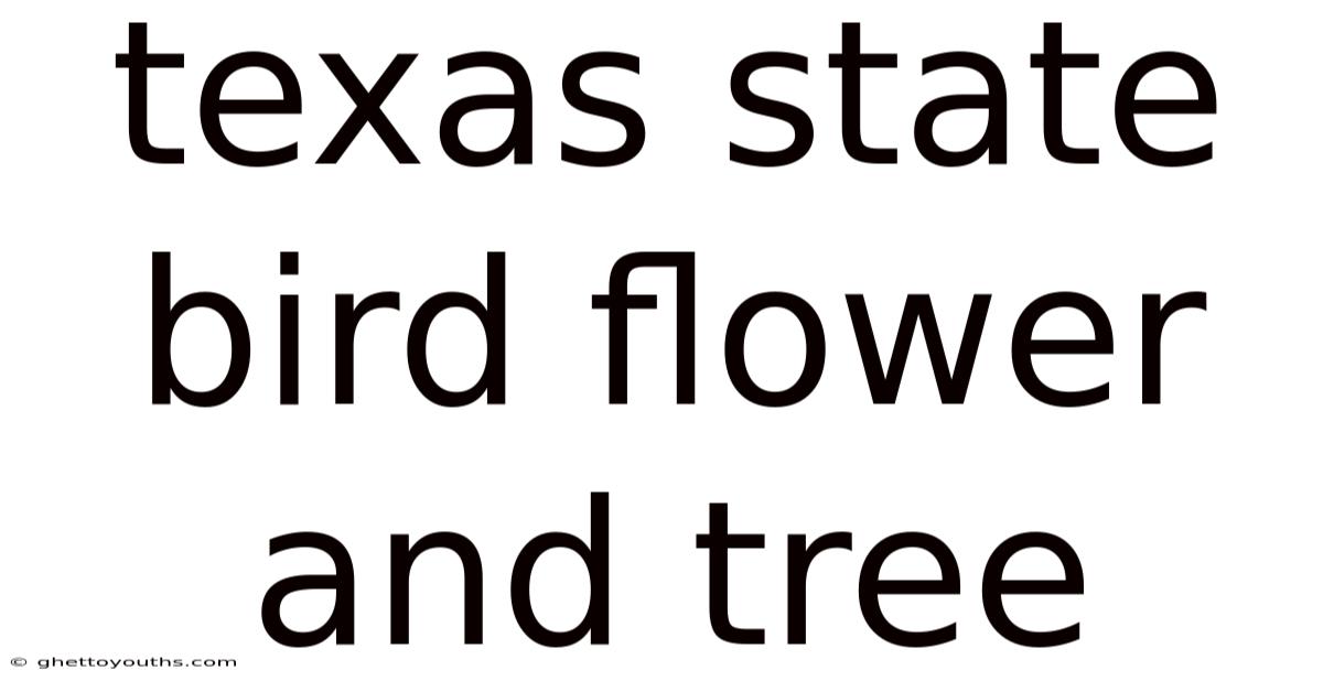 Texas State Bird Flower And Tree