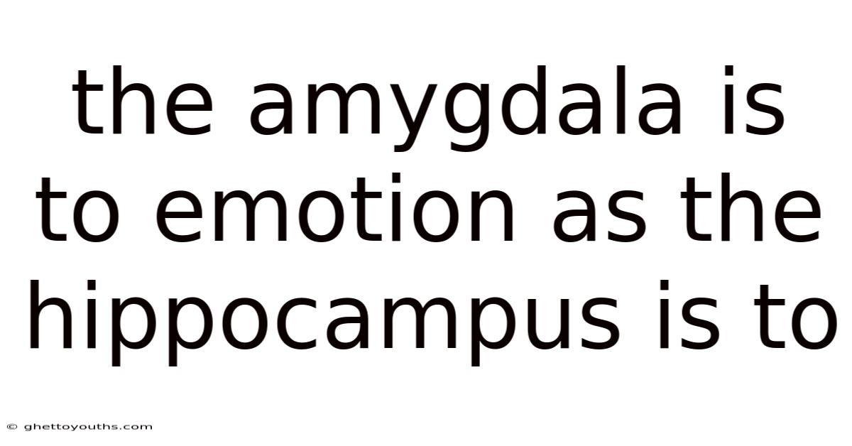 The Amygdala Is To Emotion As The Hippocampus Is To