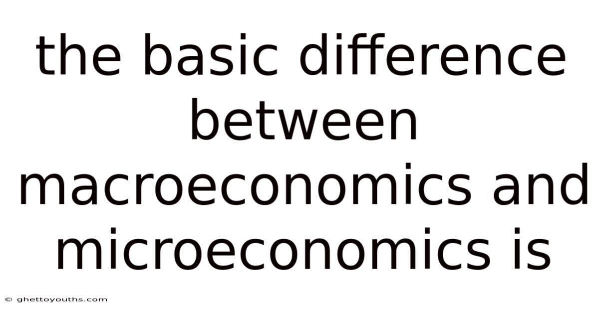 The Basic Difference Between Macroeconomics And Microeconomics Is