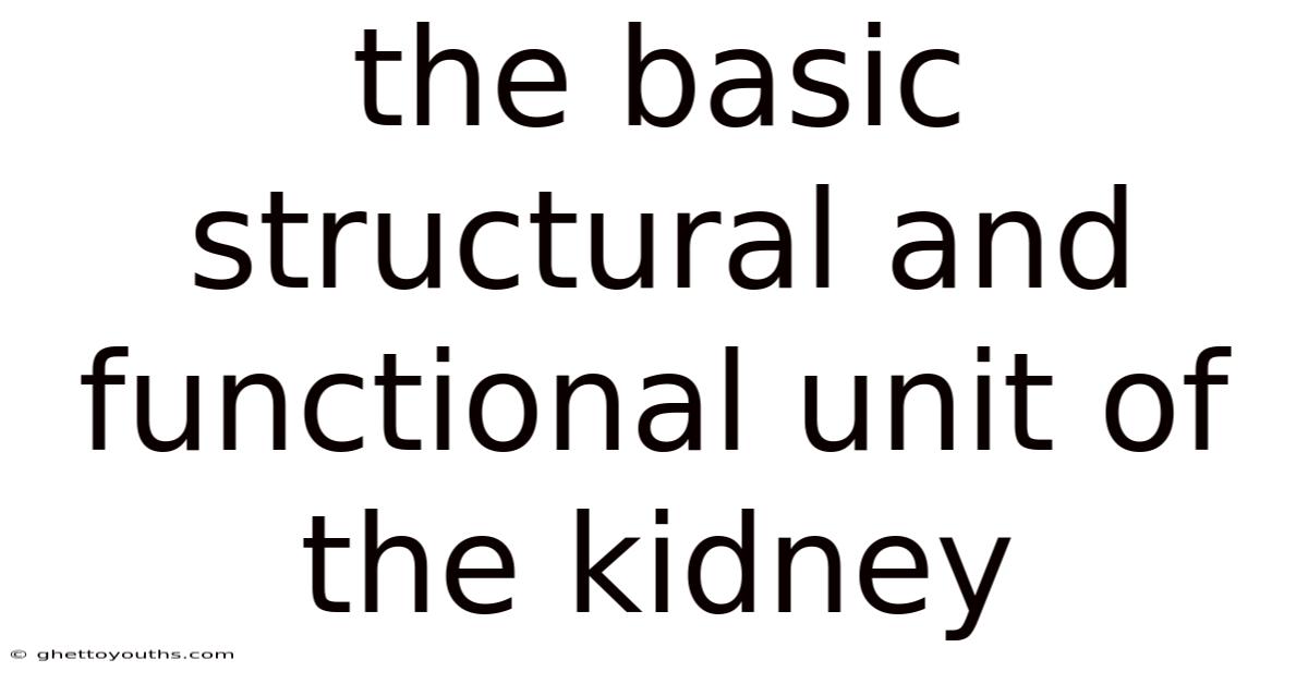 The Basic Structural And Functional Unit Of The Kidney