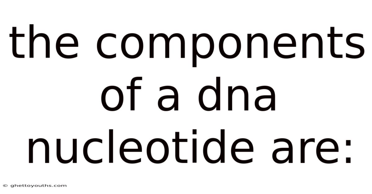 The Components Of A Dna Nucleotide Are: