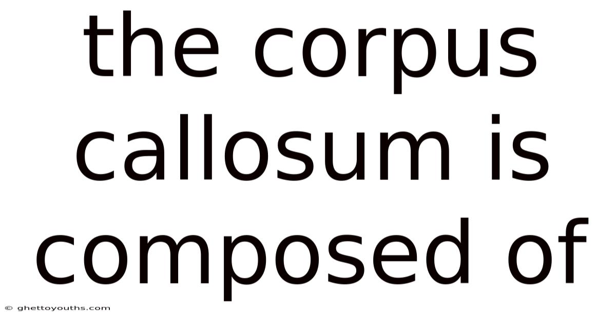 The Corpus Callosum Is Composed Of