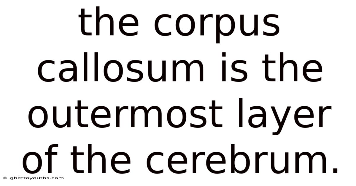 The Corpus Callosum Is The Outermost Layer Of The Cerebrum.
