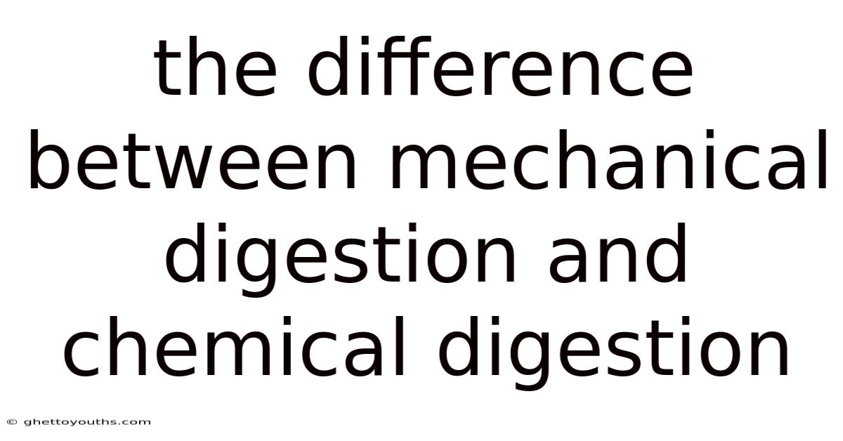 The Difference Between Mechanical Digestion And Chemical Digestion