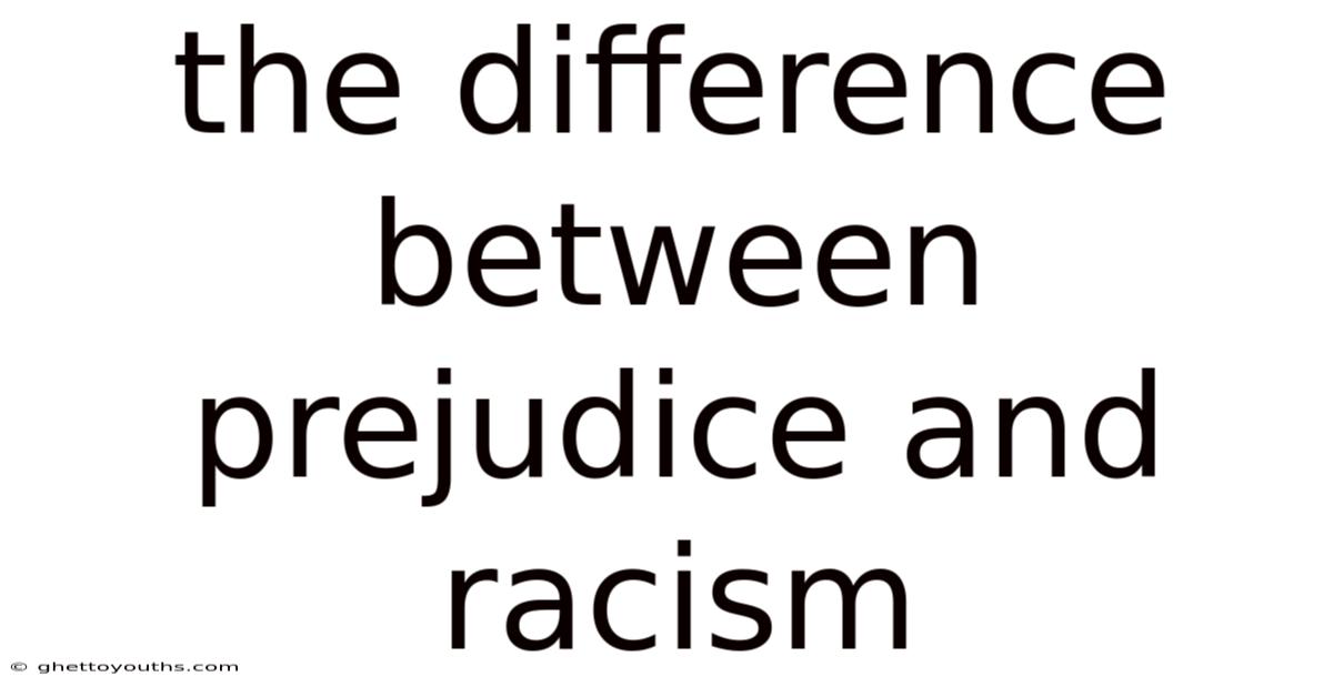 The Difference Between Prejudice And Racism