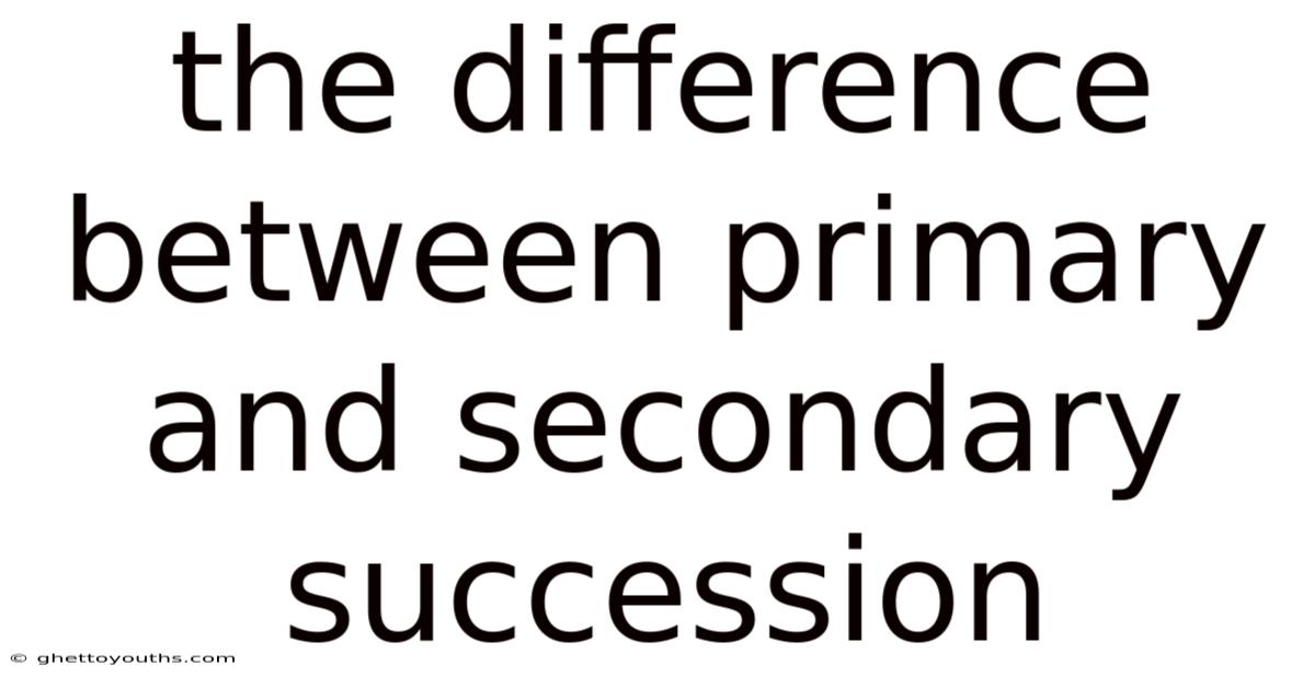 The Difference Between Primary And Secondary Succession