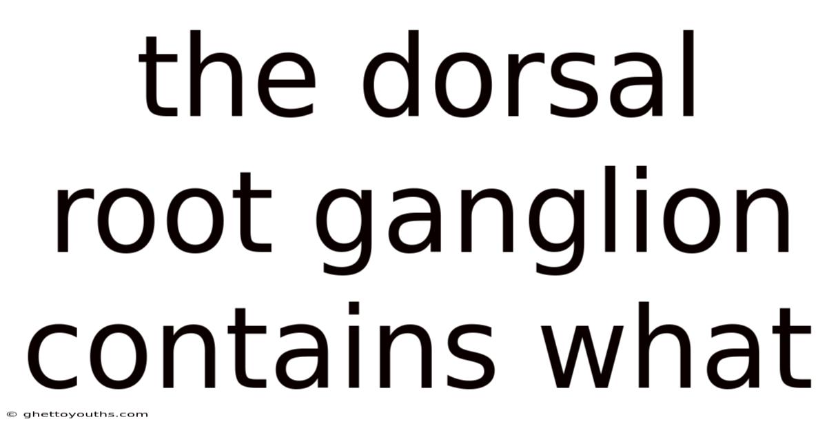 The Dorsal Root Ganglion Contains What
