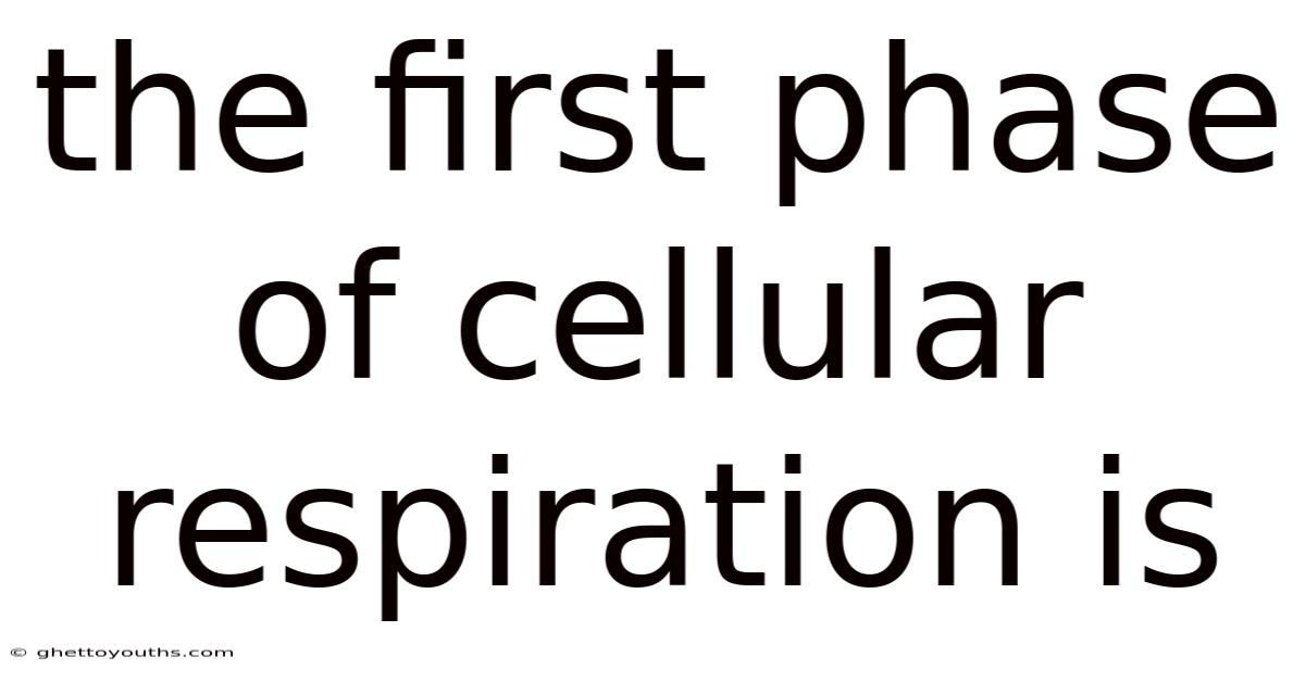 The First Phase Of Cellular Respiration Is