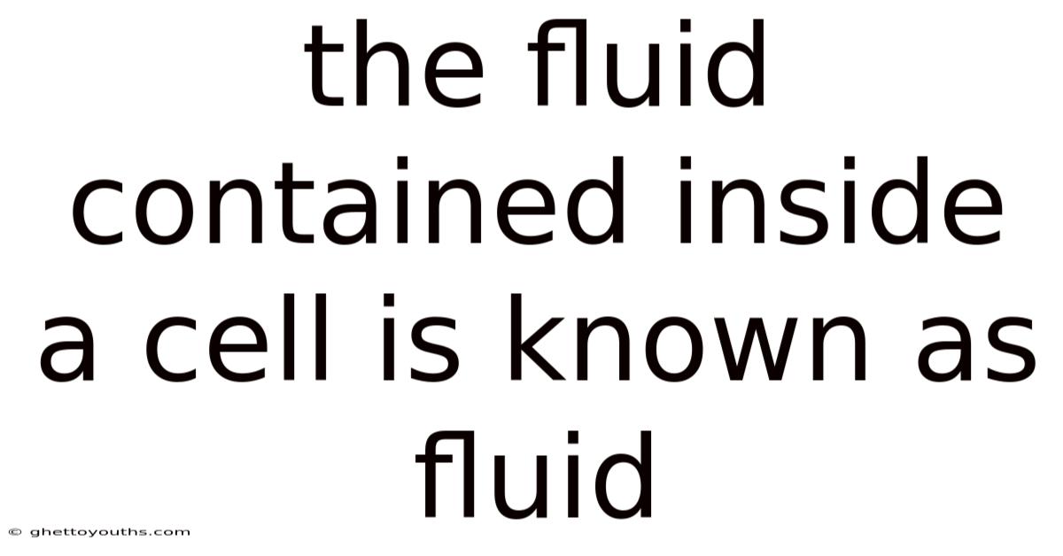 The Fluid Contained Inside A Cell Is Known As Fluid