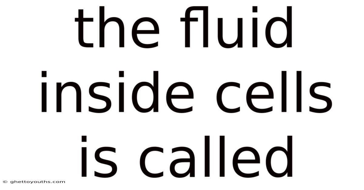 The Fluid Inside Cells Is Called
