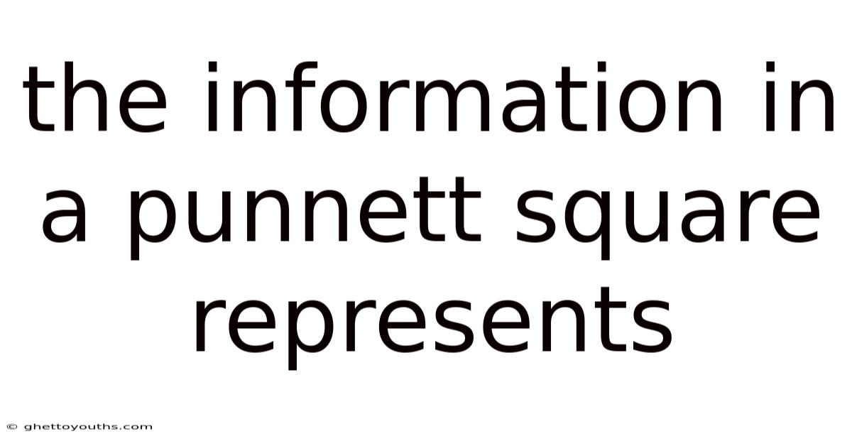 The Information In A Punnett Square Represents