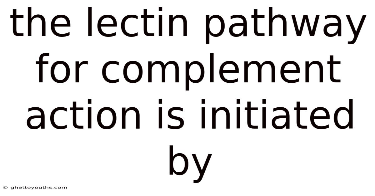 The Lectin Pathway For Complement Action Is Initiated By
