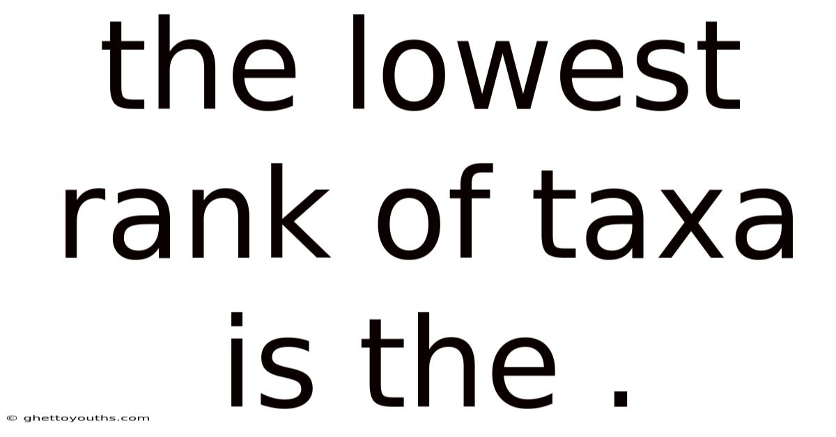 The Lowest Rank Of Taxa Is The .