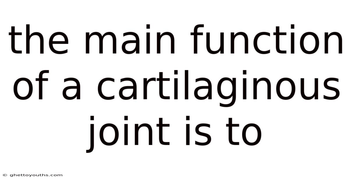 The Main Function Of A Cartilaginous Joint Is To