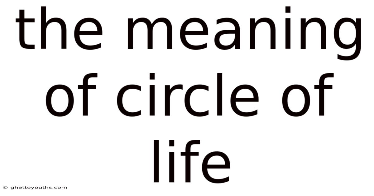 The Meaning Of Circle Of Life