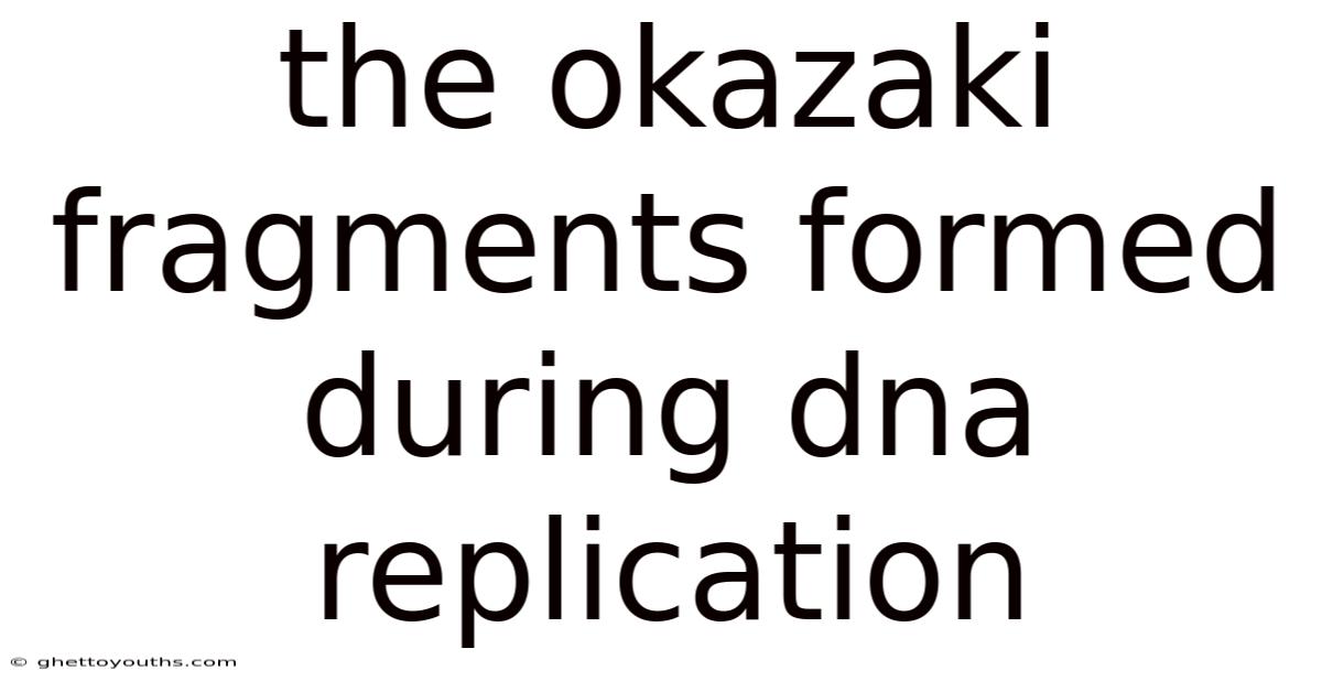 The Okazaki Fragments Formed During Dna Replication