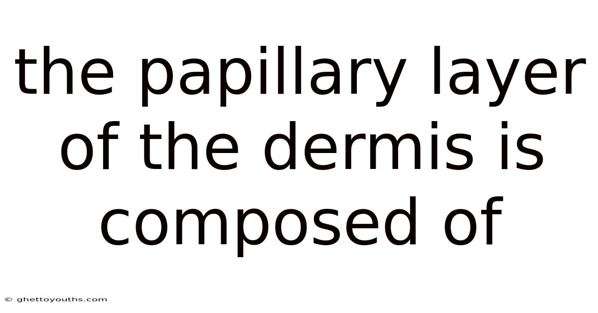 The Papillary Layer Of The Dermis Is Composed Of