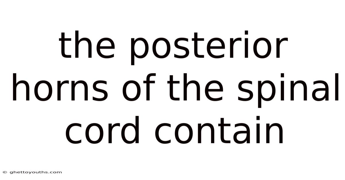 The Posterior Horns Of The Spinal Cord Contain