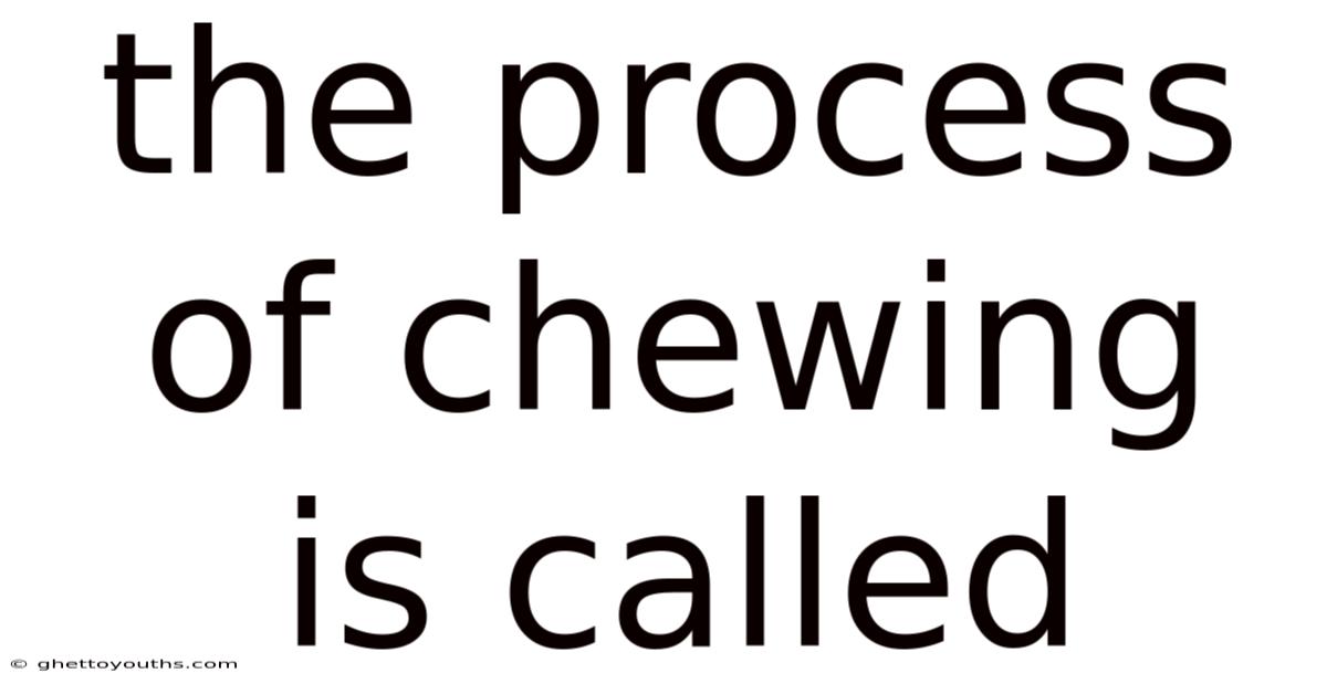 The Process Of Chewing Is Called